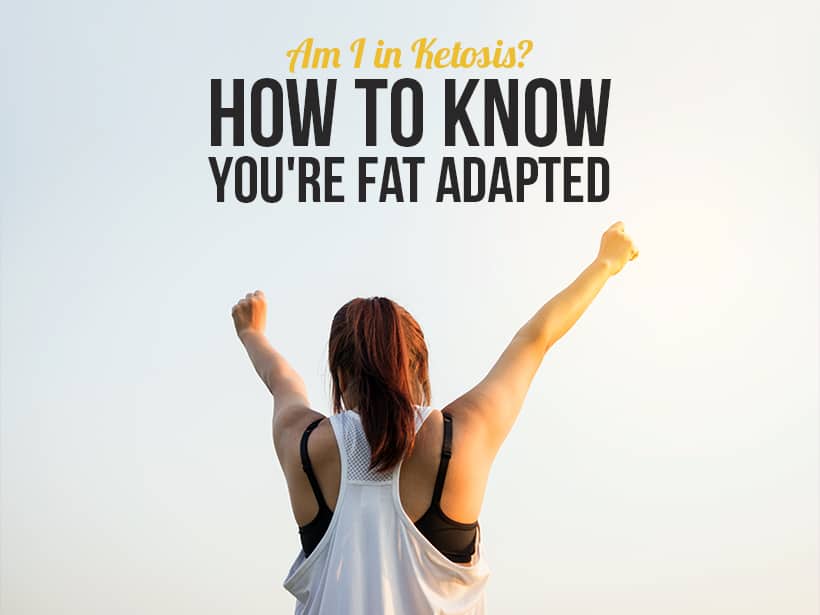 Fat Adapted Signs Your in Ketosis, Keto Tips to Get There