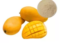 African Mango Extract Powder in Bulk