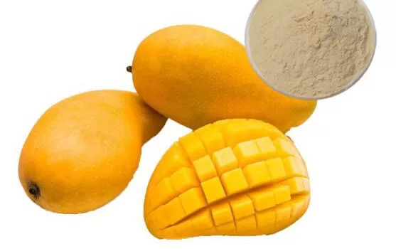 African Mango Extract Powder in Bulk